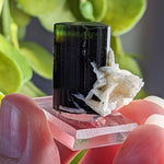  Natural Elbaite Tourmaline with Albite | 17.6 grams | Stak Nala, Gilgit District Pakistan 