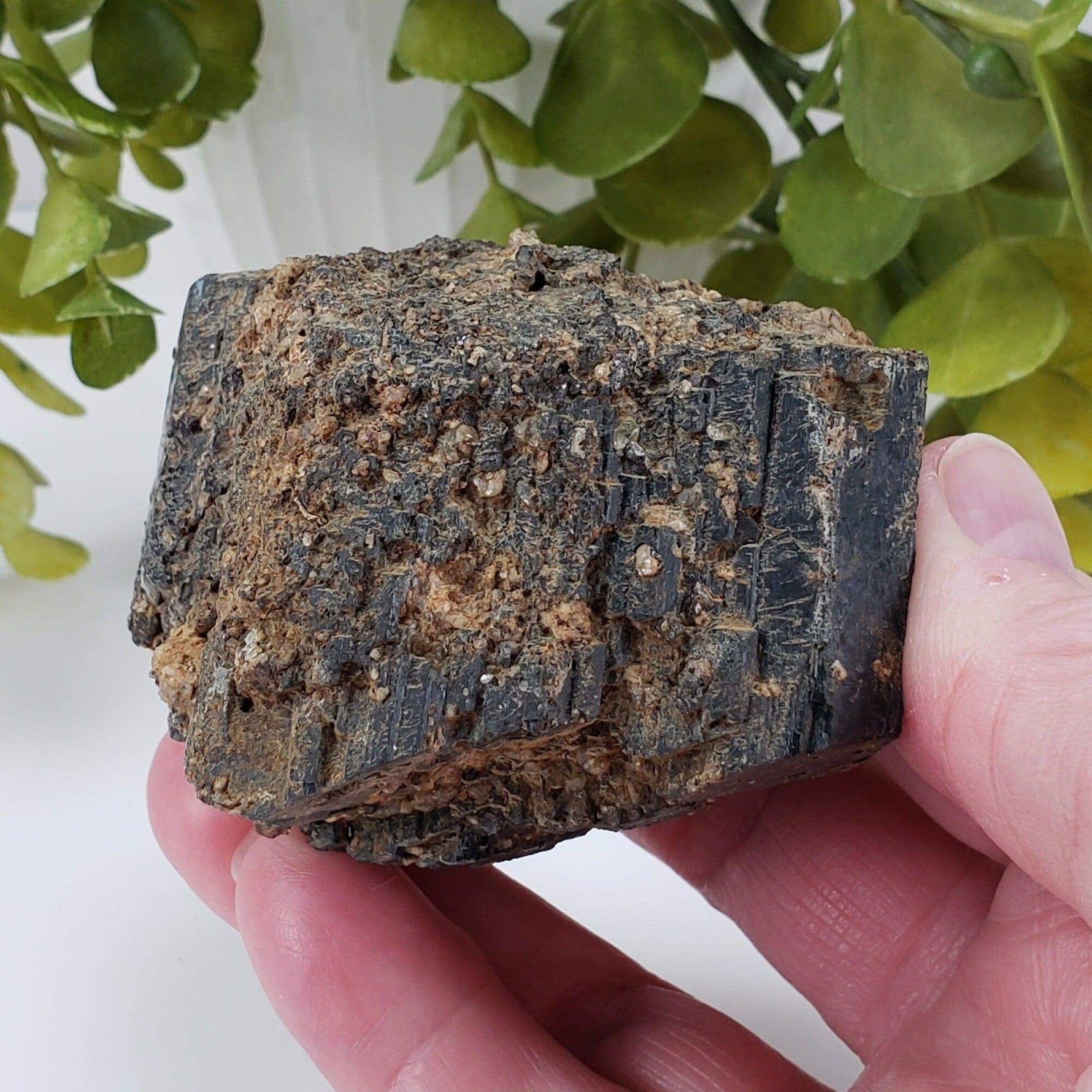  Natural Hornblende | Raw Crystal | 264.4 grams | Tory Hill, Ontario Canada 