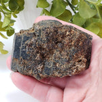  Natural Hornblende | Raw Crystal | 264.4 grams | Tory Hill, Ontario Canada 