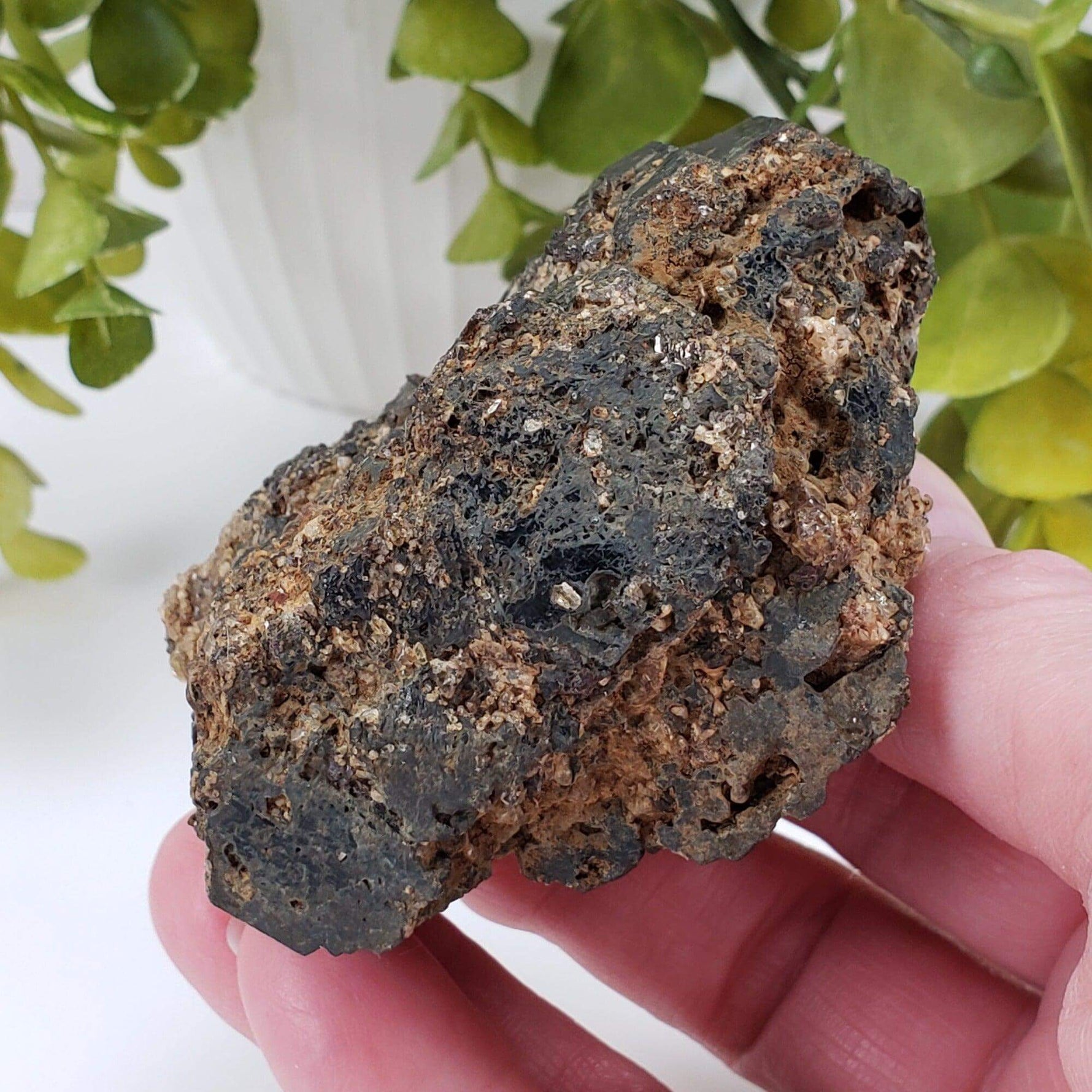  Natural Hornblende | Raw Crystal | 264.4 grams | Tory Hill, Ontario Canada 