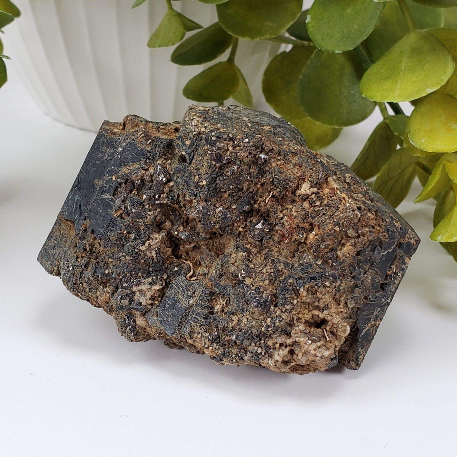  Natural Hornblende | Raw Crystal | 264.4 grams | Tory Hill, Ontario Canada 