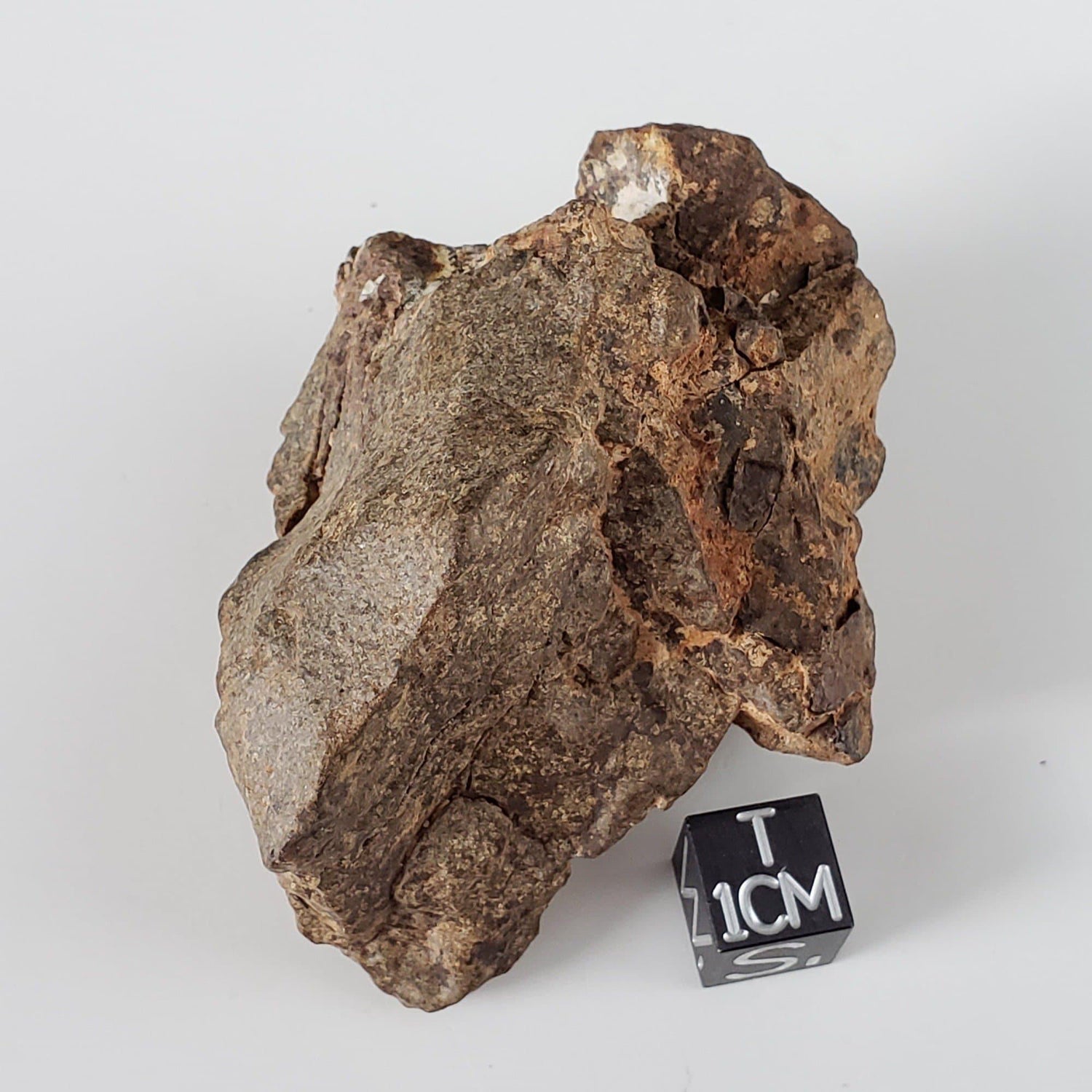 Northwest Africa NWA Meteorite | 108.23 Grams | Individual Fragment | Sahara