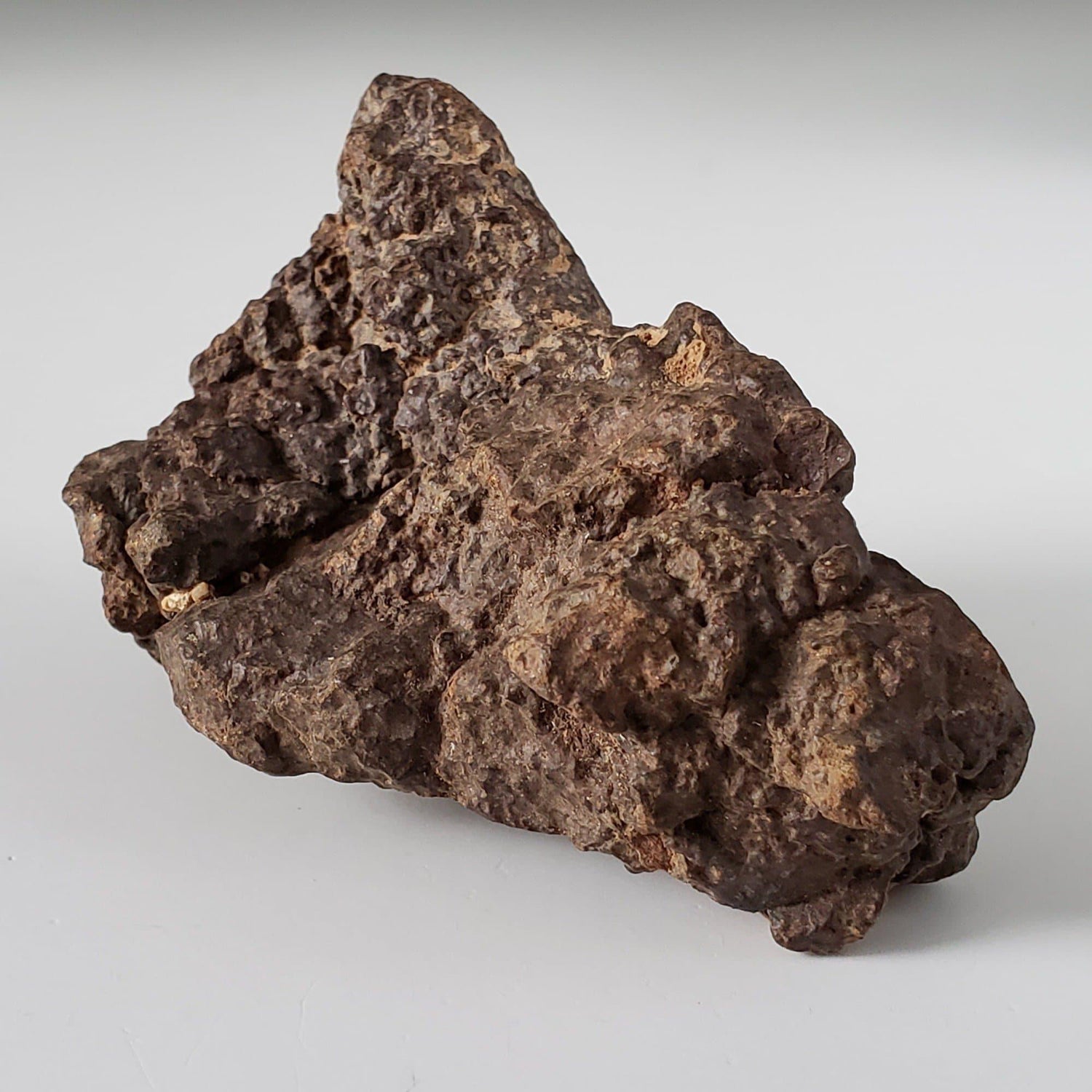 Northwest Africa NWA Meteorite | 110.70 Grams | Individual Fragment | Sahara