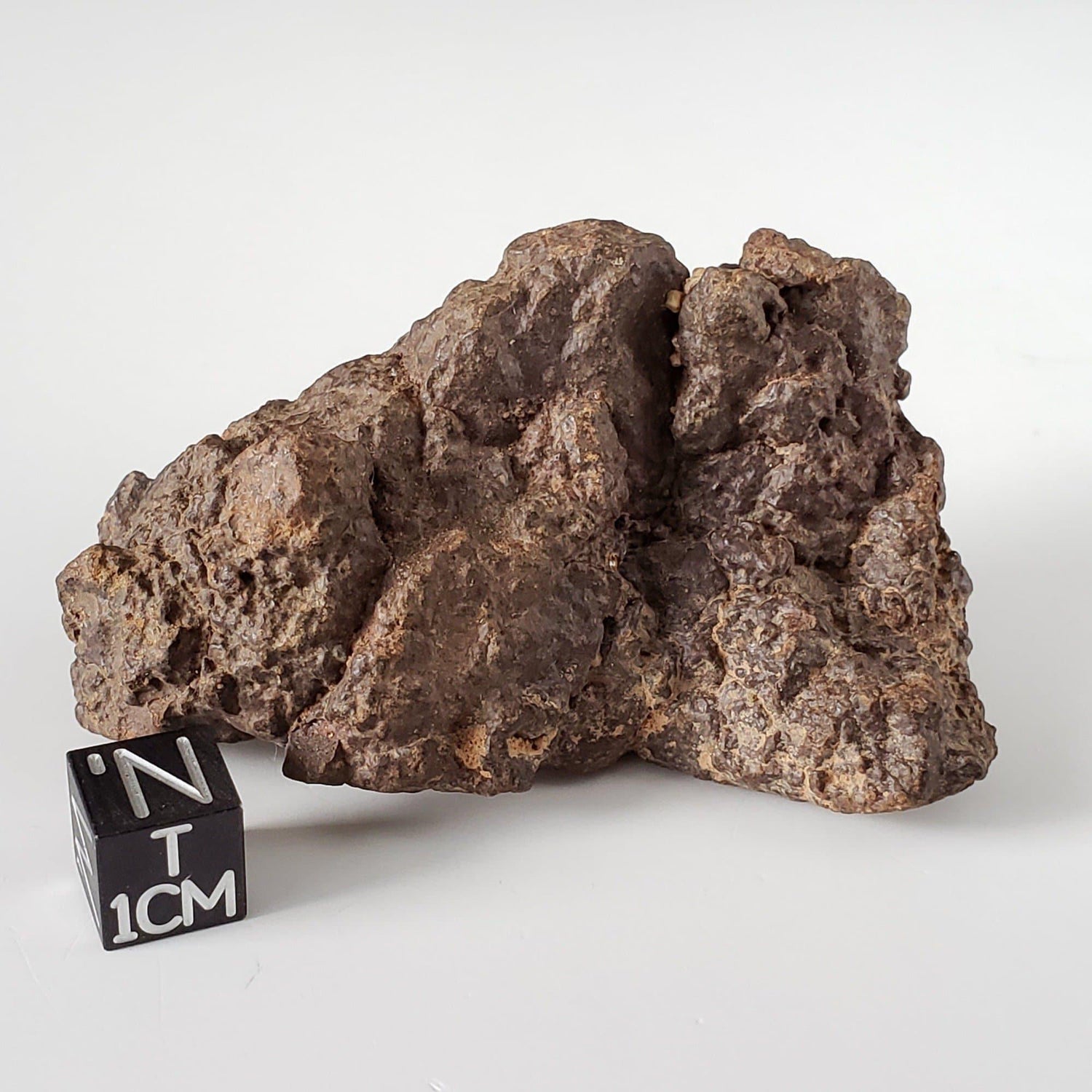 Northwest Africa NWA Meteorite | 110.70 Grams | Individual Fragment | Sahara