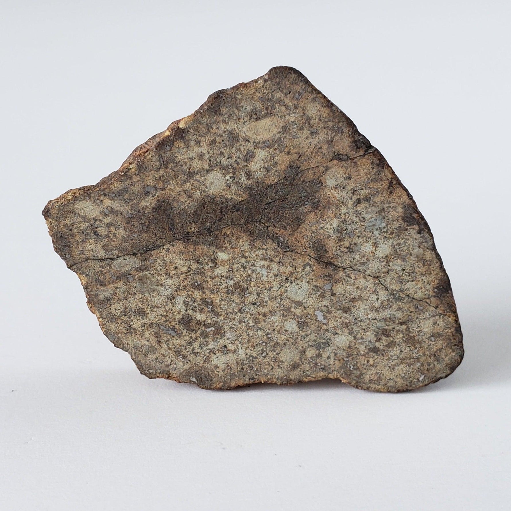  Northwest Africa NWA Meteorite | 12.14 Grams | Slice | Sahara 