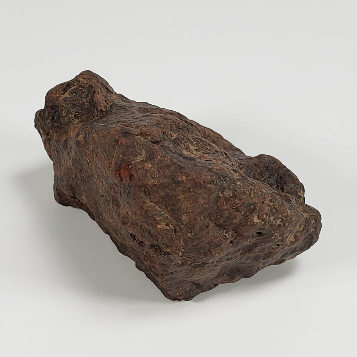 Northwest Africa NWA Meteorite | 124.3 Grams | Individual Cut Fragment | Sahara