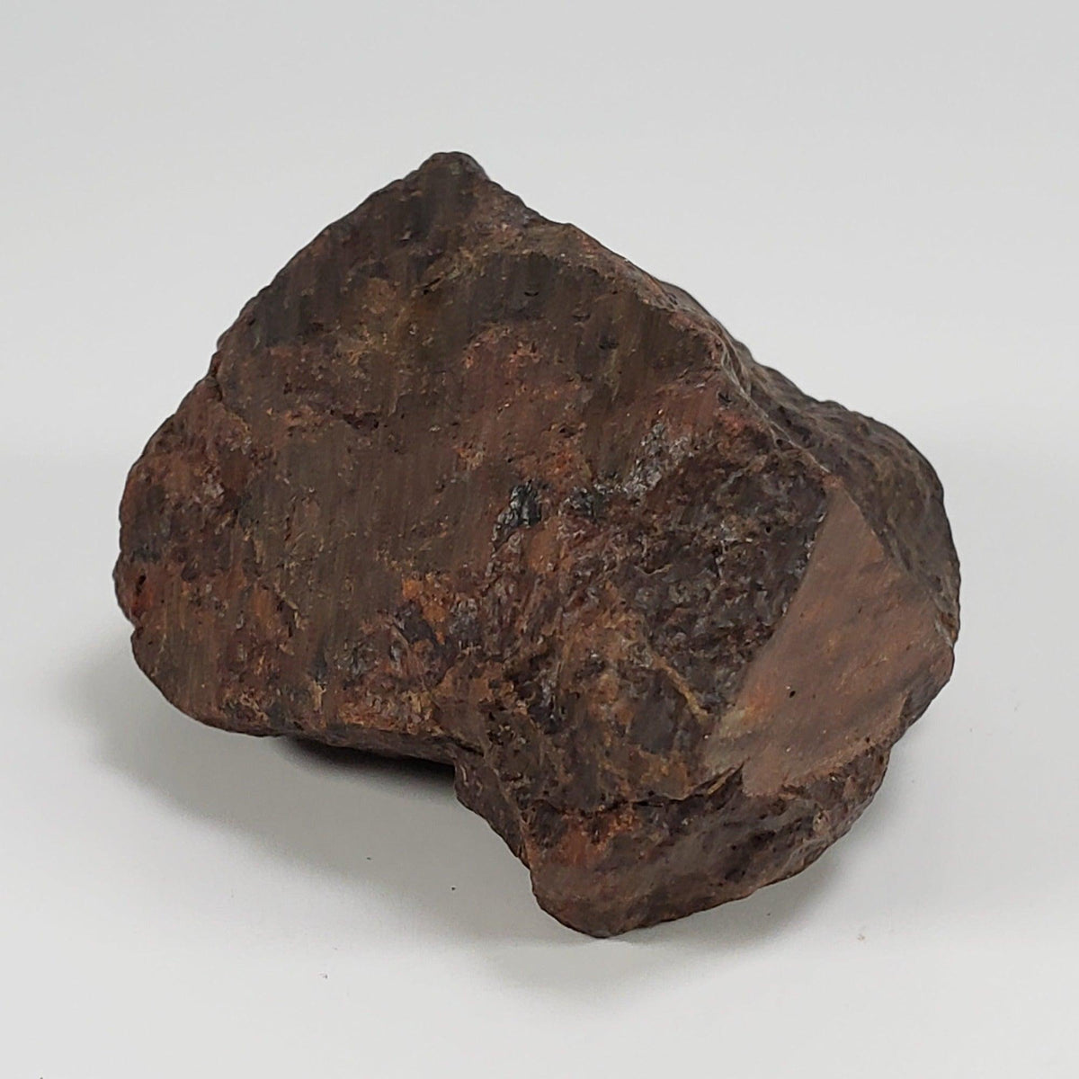 Northwest Africa NWA Meteorite | 124.3 Grams | Individual Cut Fragment | Sahara