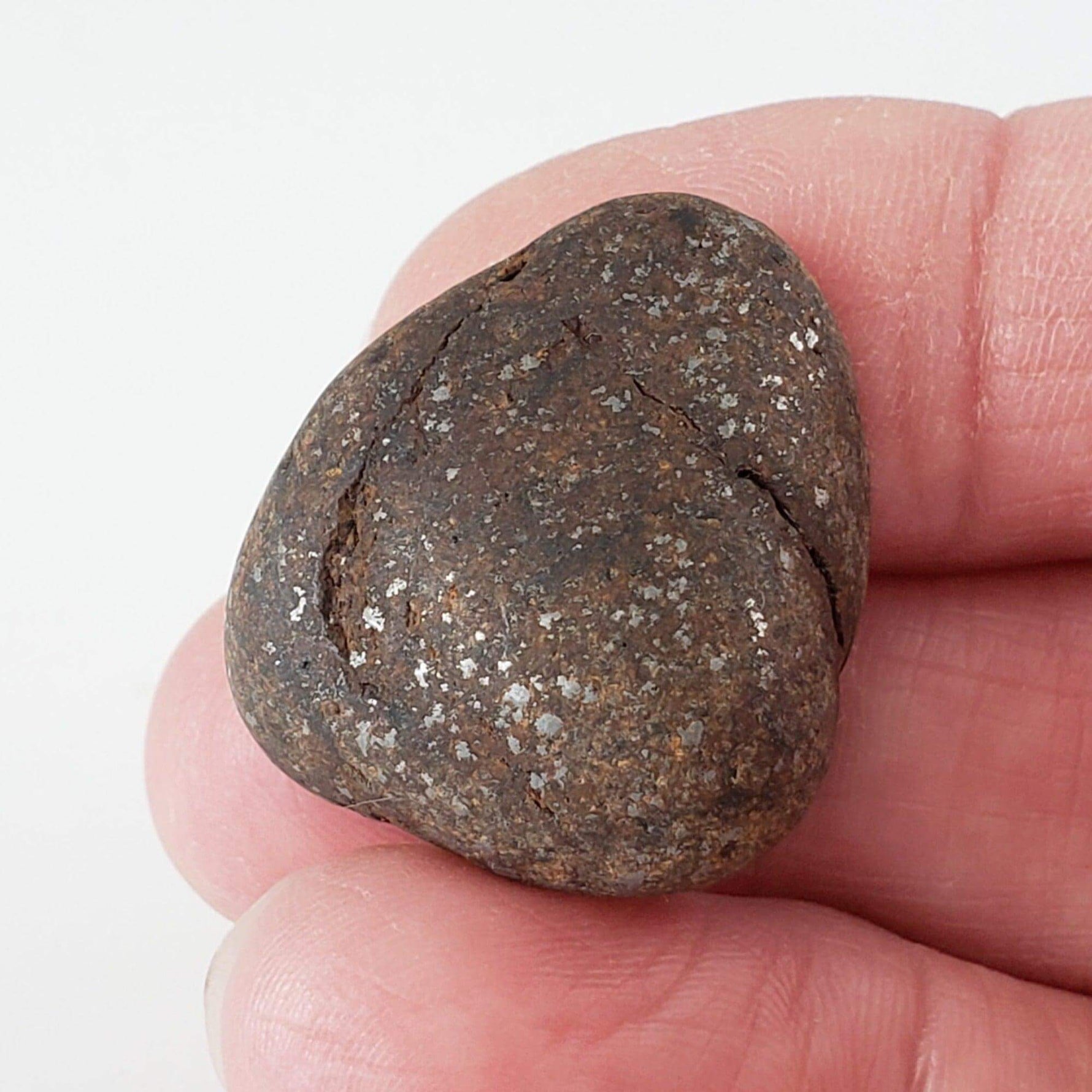 Northwest Africa NWA Meteorite | 13.6 Grams | Individual | Tumbled Meteorite | Sahara