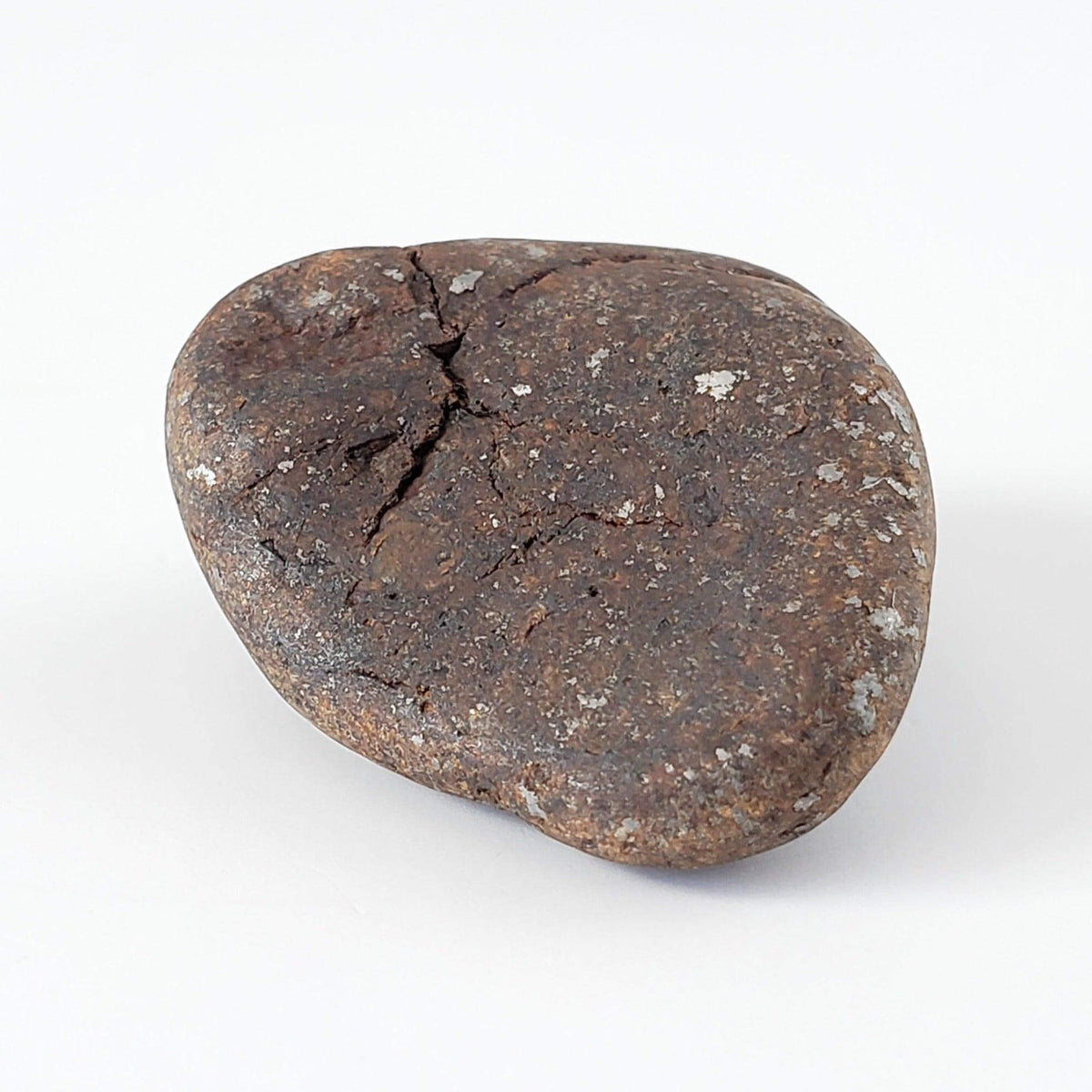 Northwest Africa NWA Meteorite | 13.6 Grams | Individual | Tumbled Meteorite | Sahara