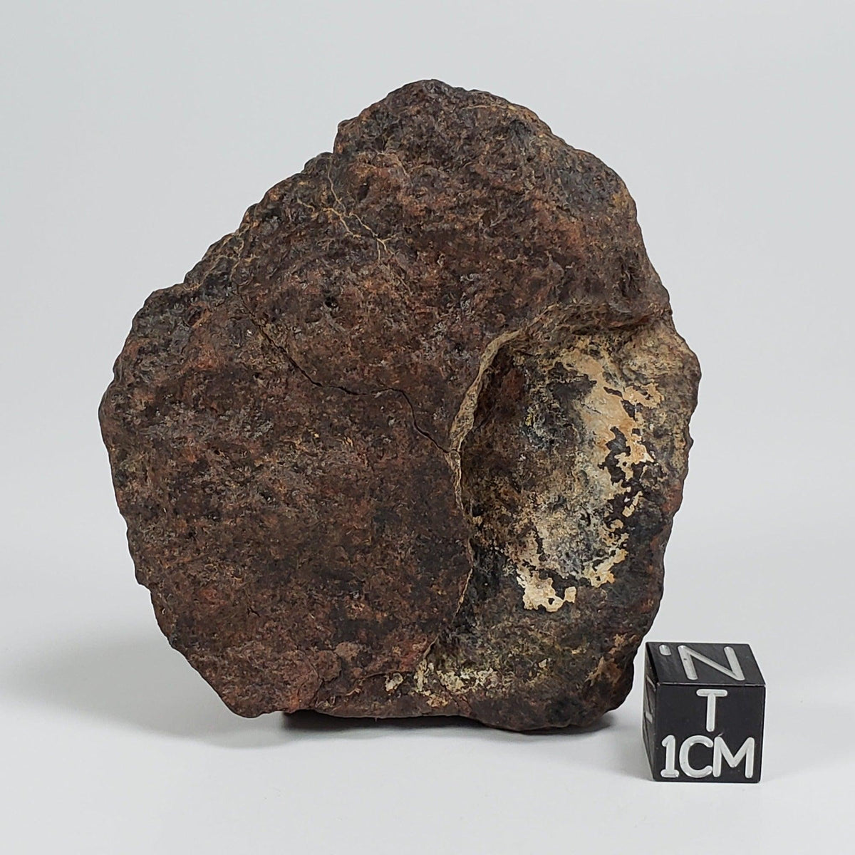 Northwest Africa NWA Meteorite | 140.7 Grams | Individual Cut Fragment | Sahara