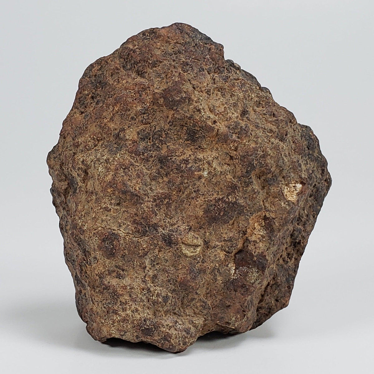 Northwest Africa NWA Meteorite | 140.7 Grams | Individual Cut Fragment | Sahara