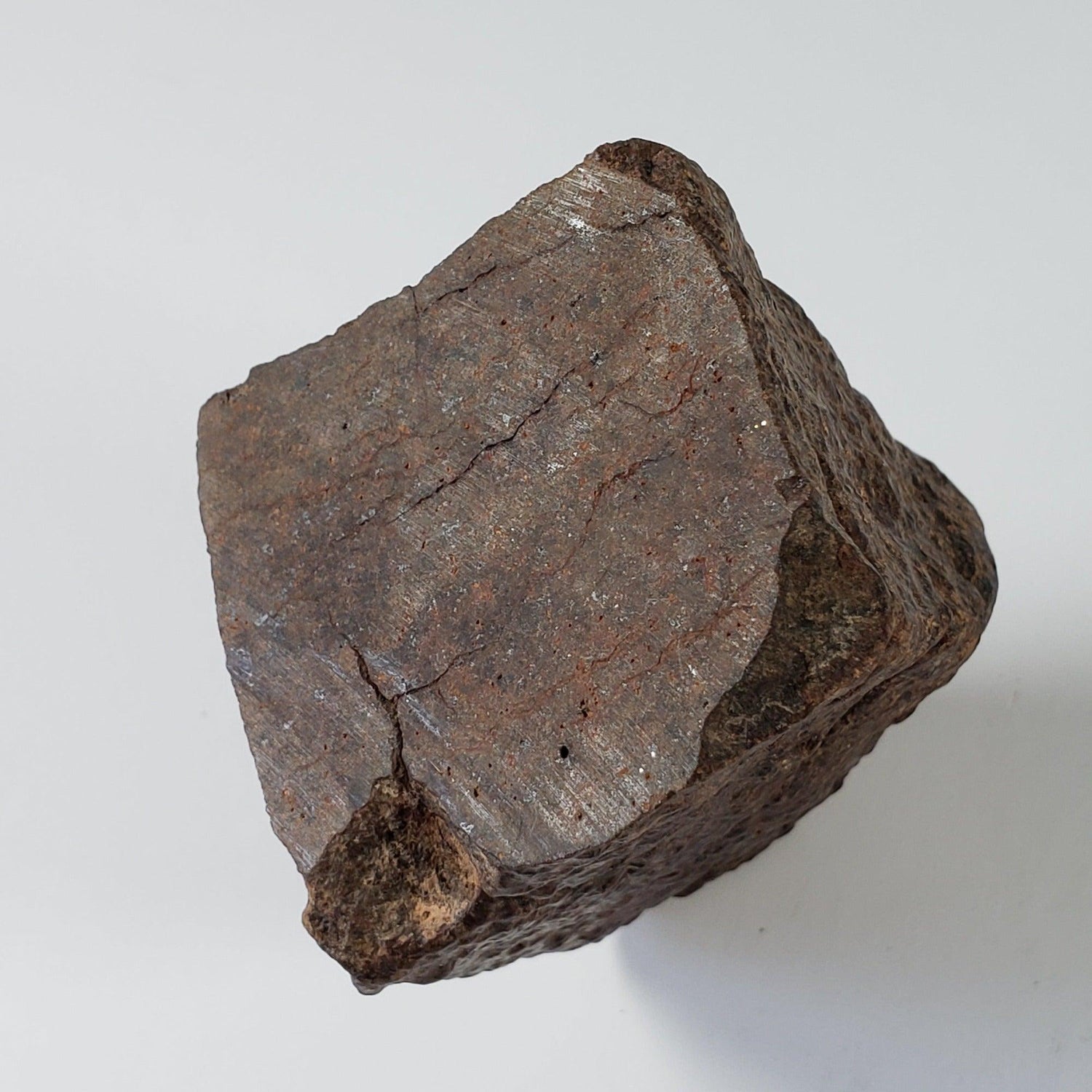 Northwest Africa NWA Meteorite | 147.64 Grams | End Cut | Sahara