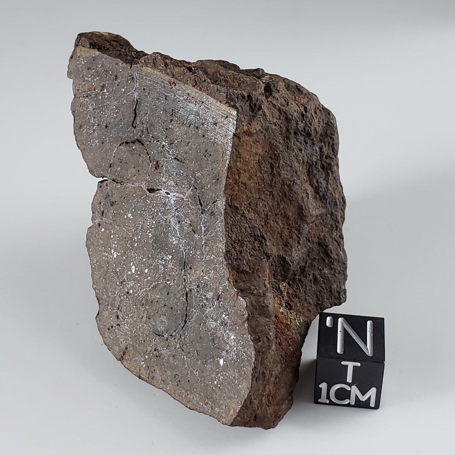 Northwest Africa NWA Meteorite | 153.87 Grams | End Cut | Sahara
