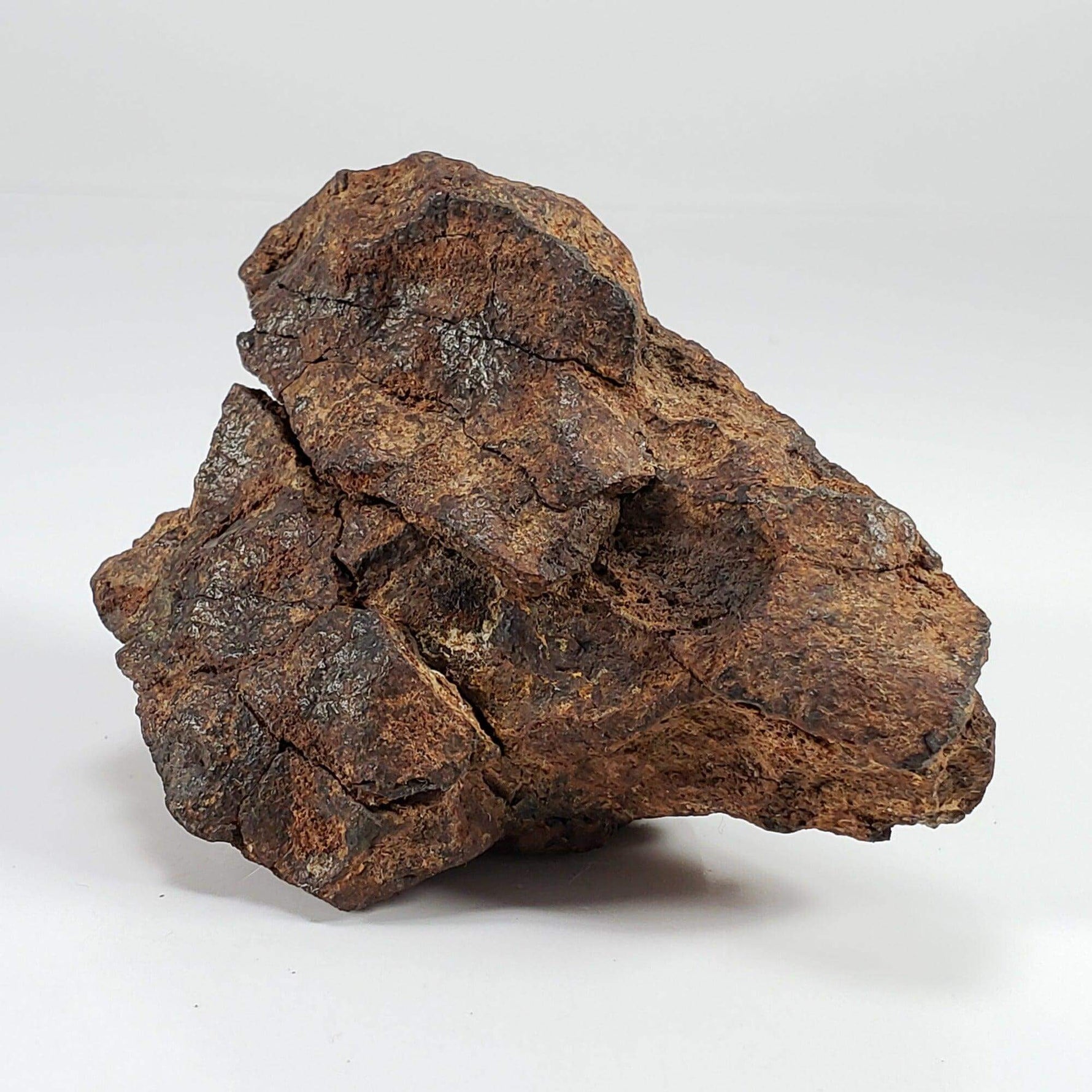  Northwest Africa NWA Meteorite | 160.8 Grams | End Cut | Sahara 