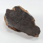  Northwest Africa NWA Meteorite | 160.8 Grams | End Cut | Sahara 