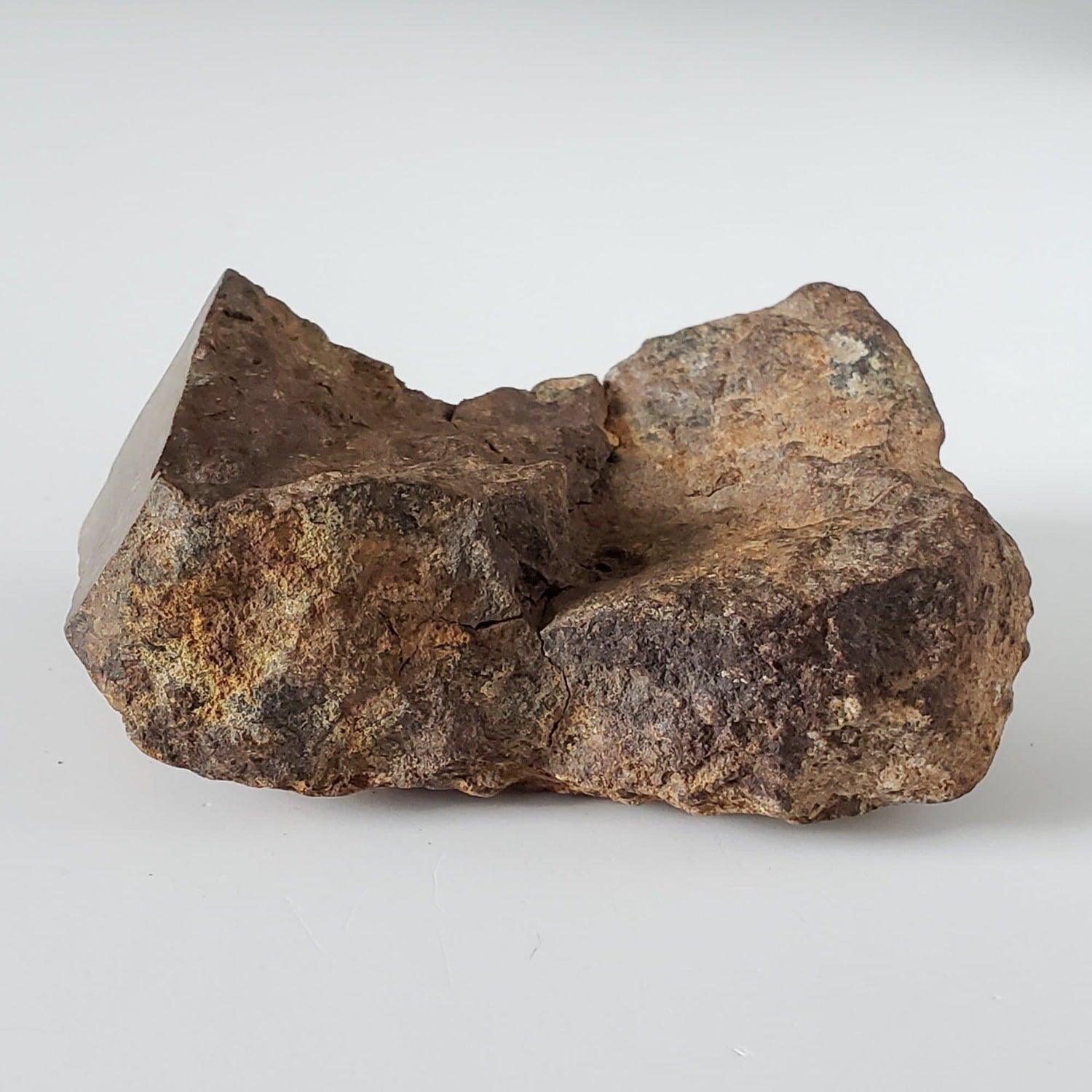 Northwest Africa NWA Meteorite | 164.9 Grams | End Cut | Sahara
