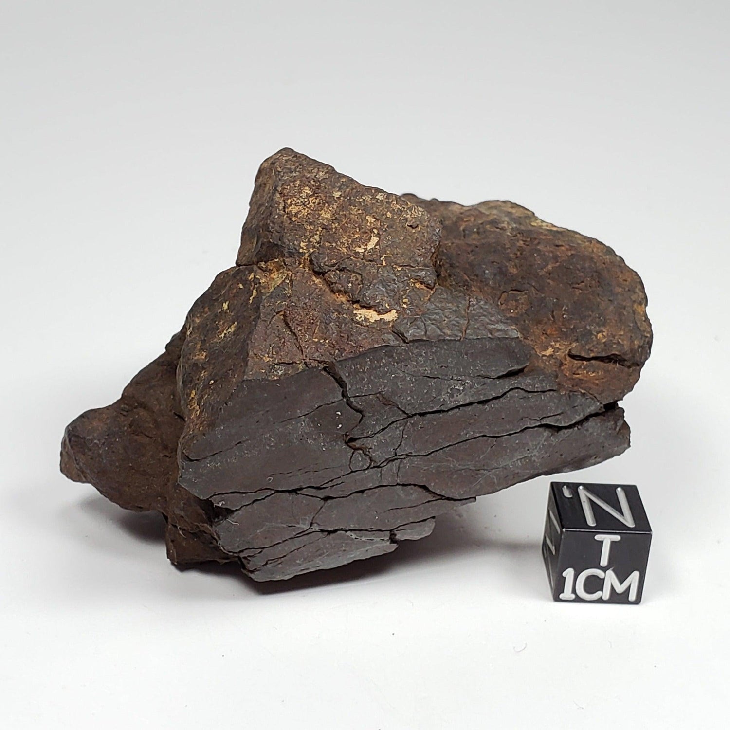 Northwest Africa NWA Meteorite | 169.8 Grams | End Cut | Sahara