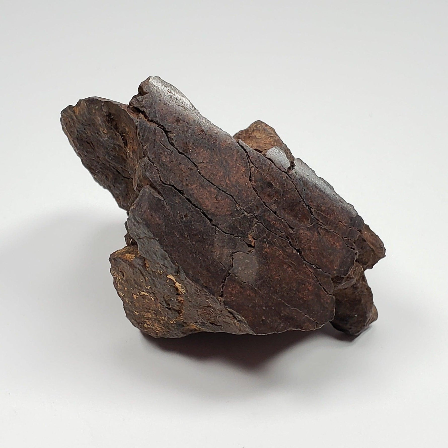 Northwest Africa NWA Meteorite | 169.8 Grams | End Cut | Sahara