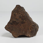 Northwest Africa NWA Meteorite | 184 Grams | Individual Cut Fragment | Sahara