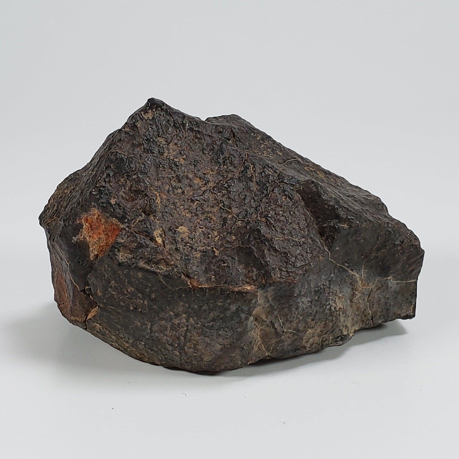 Northwest Africa NWA Meteorite | 186 Grams | Individual Cut Fragment | Sahara