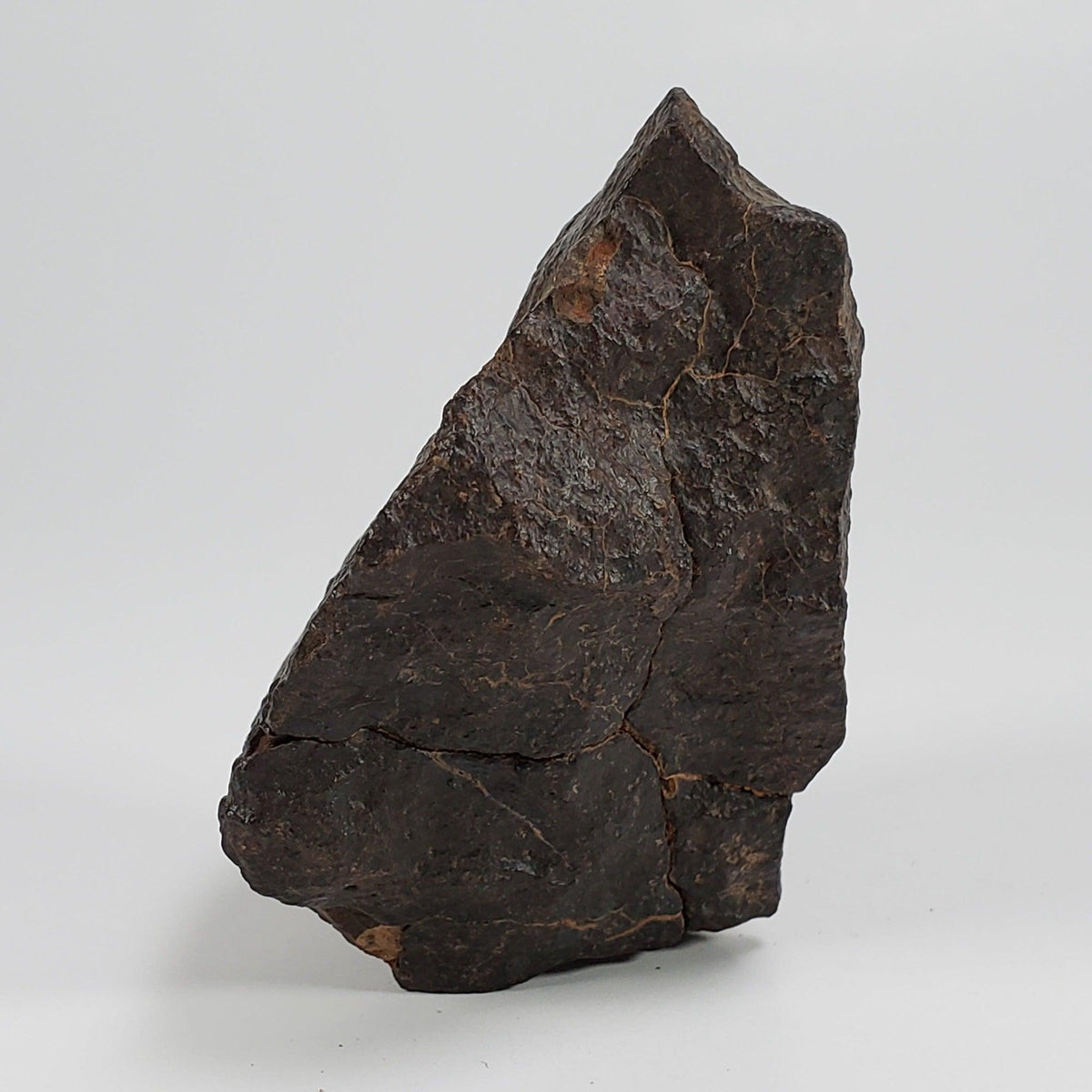 Northwest Africa NWA Meteorite | 186 Grams | Individual Cut Fragment | Sahara