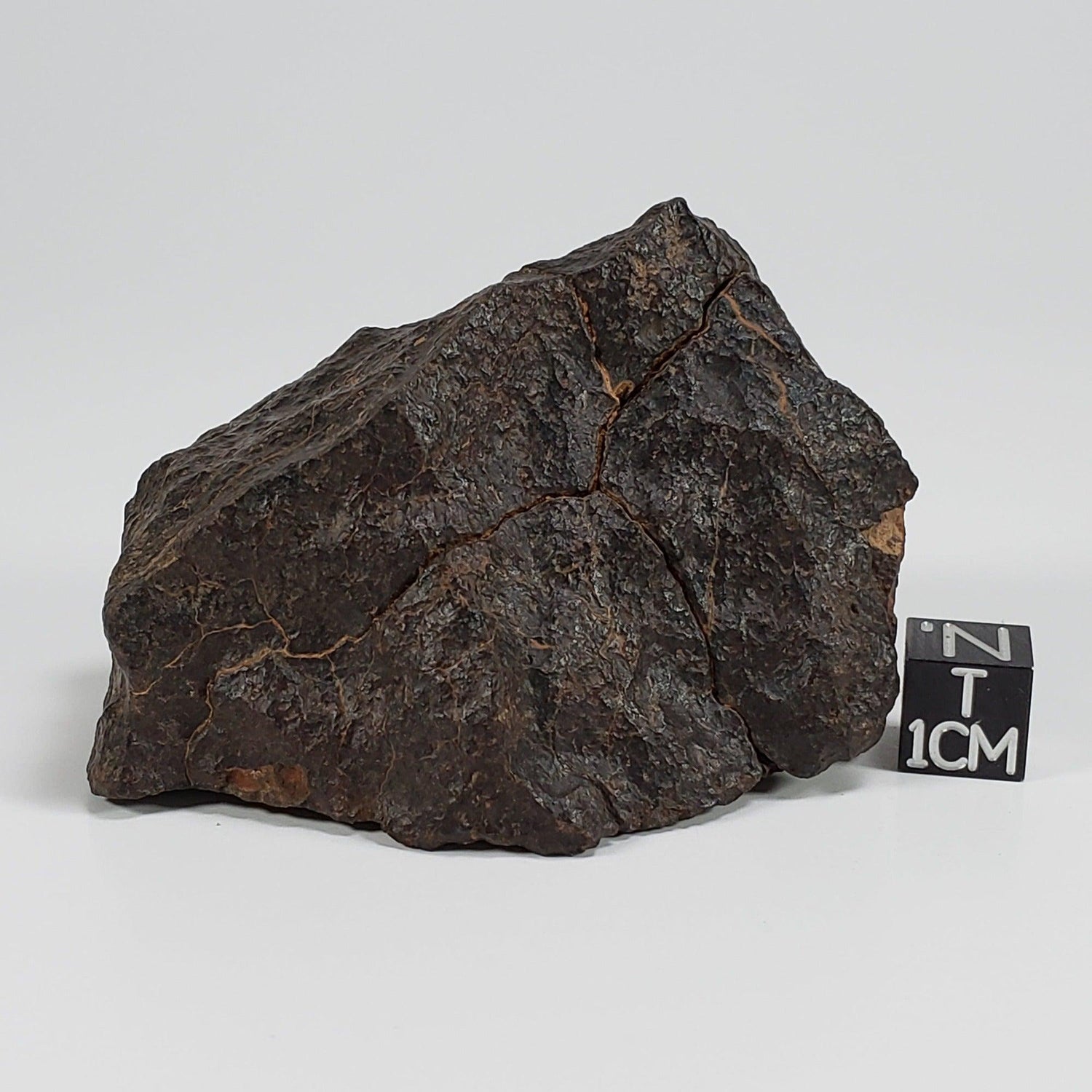 Northwest Africa NWA Meteorite | 186 Grams | Individual Cut Fragment | Sahara