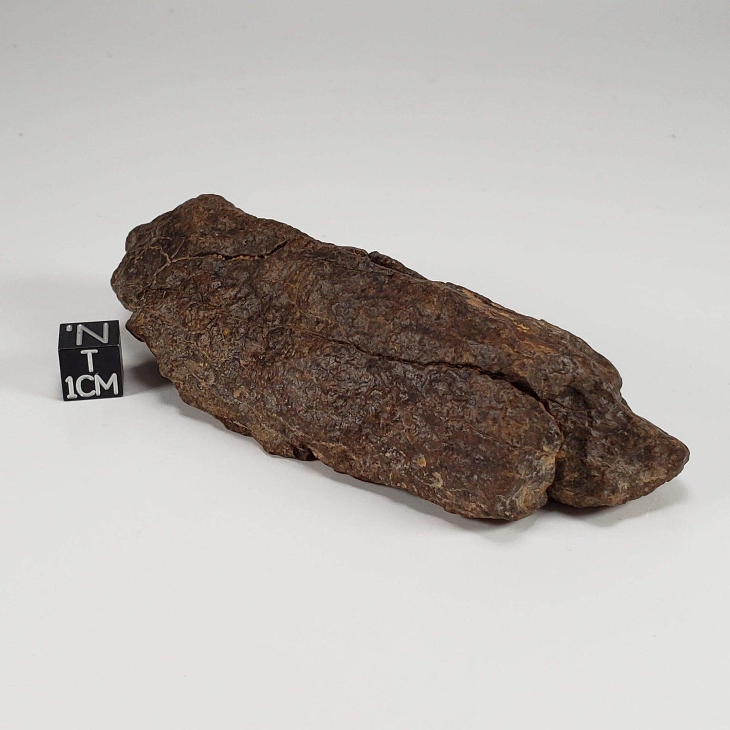 Northwest Africa NWA Meteorite | 210.8 Grams | Individual Fragment | Sahara