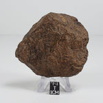 Northwest Africa NWA Meteorite | 212 Grams | Individual Fragment | Sahara