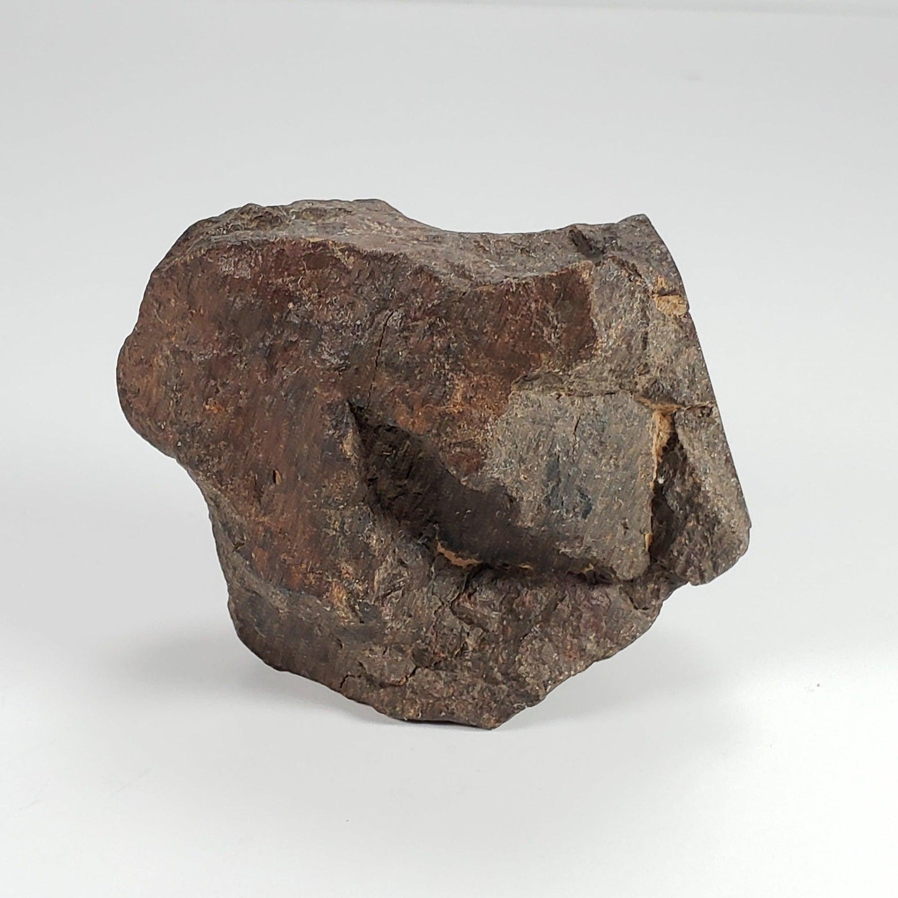 Northwest Africa NWA Meteorite | 224 Grams | End Cut | Sahara