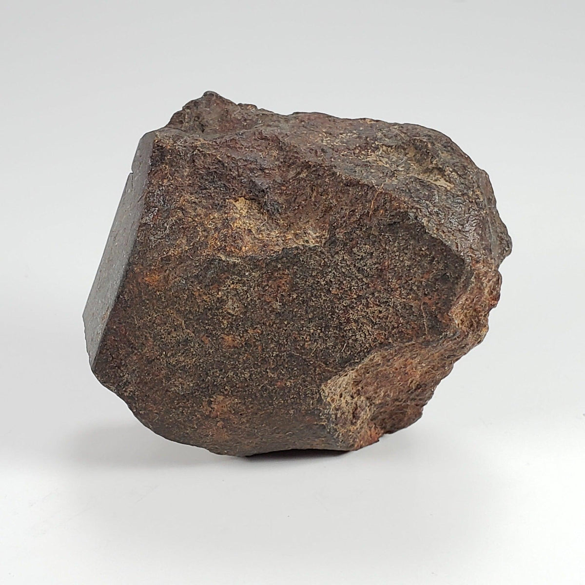 Northwest Africa NWA Meteorite | 224 Grams | End Cut | Sahara