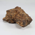 Northwest Africa NWA Meteorite | 229.6 Grams | End Cut | Sahara