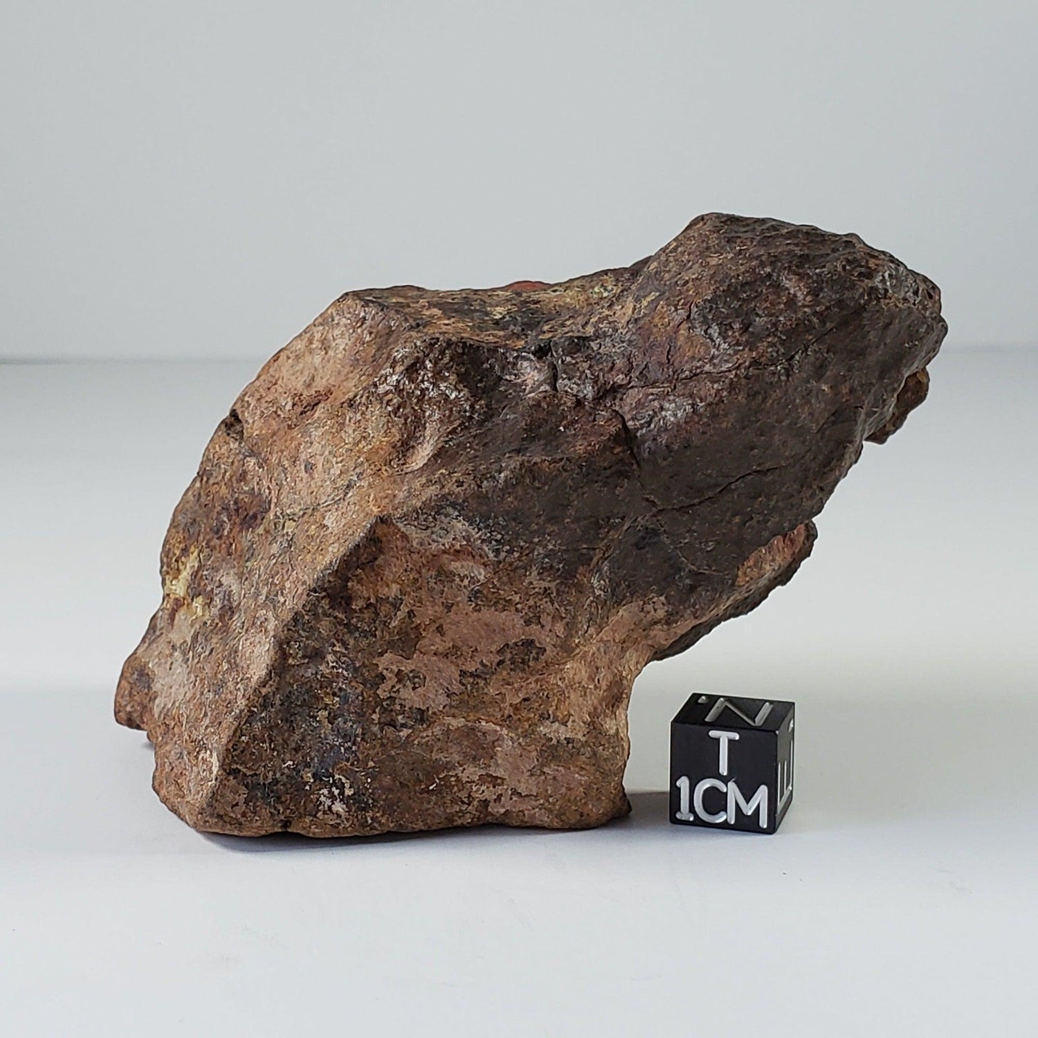Northwest Africa NWA Meteorite | 295.67 Grams | Individual | Sahara