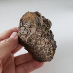 Northwest Africa NWA Meteorite | 309.6gr | Individual Cut Fragment | Sahara