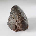 Northwest Africa NWA Meteorite | 309.6gr | Individual Cut Fragment | Sahara