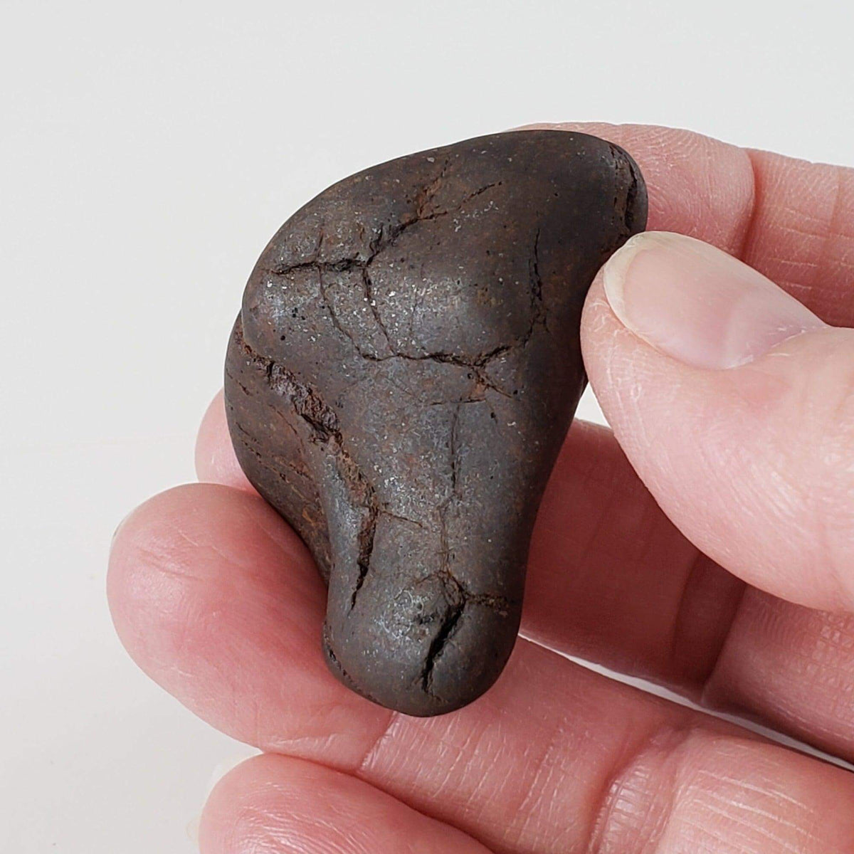 Northwest Africa NWA Meteorite | 32.6 Grams | Individual | Tumbled Meteorite | Sahara