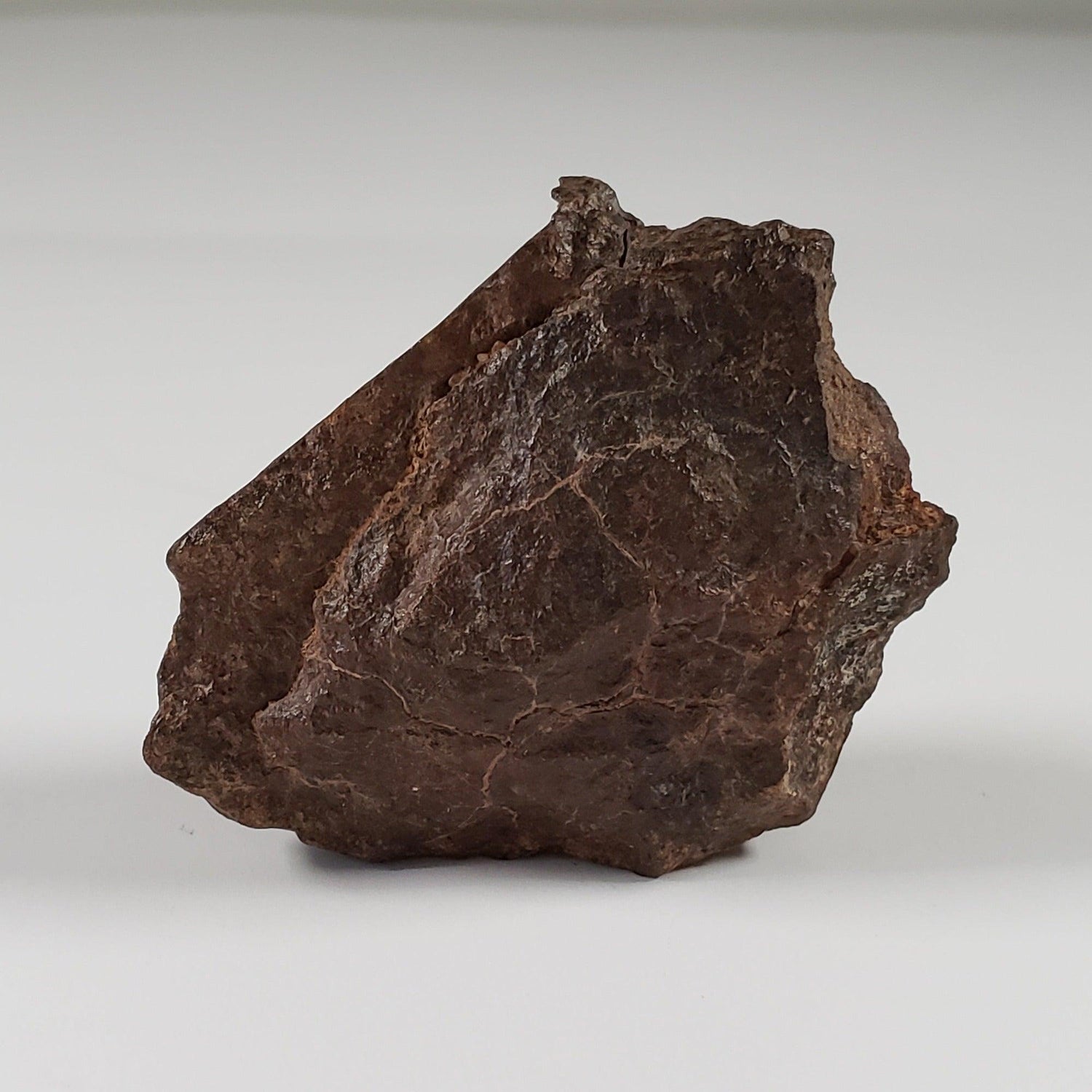Northwest Africa NWA Meteorite | 33.83 Grams | End Cut | Sahara