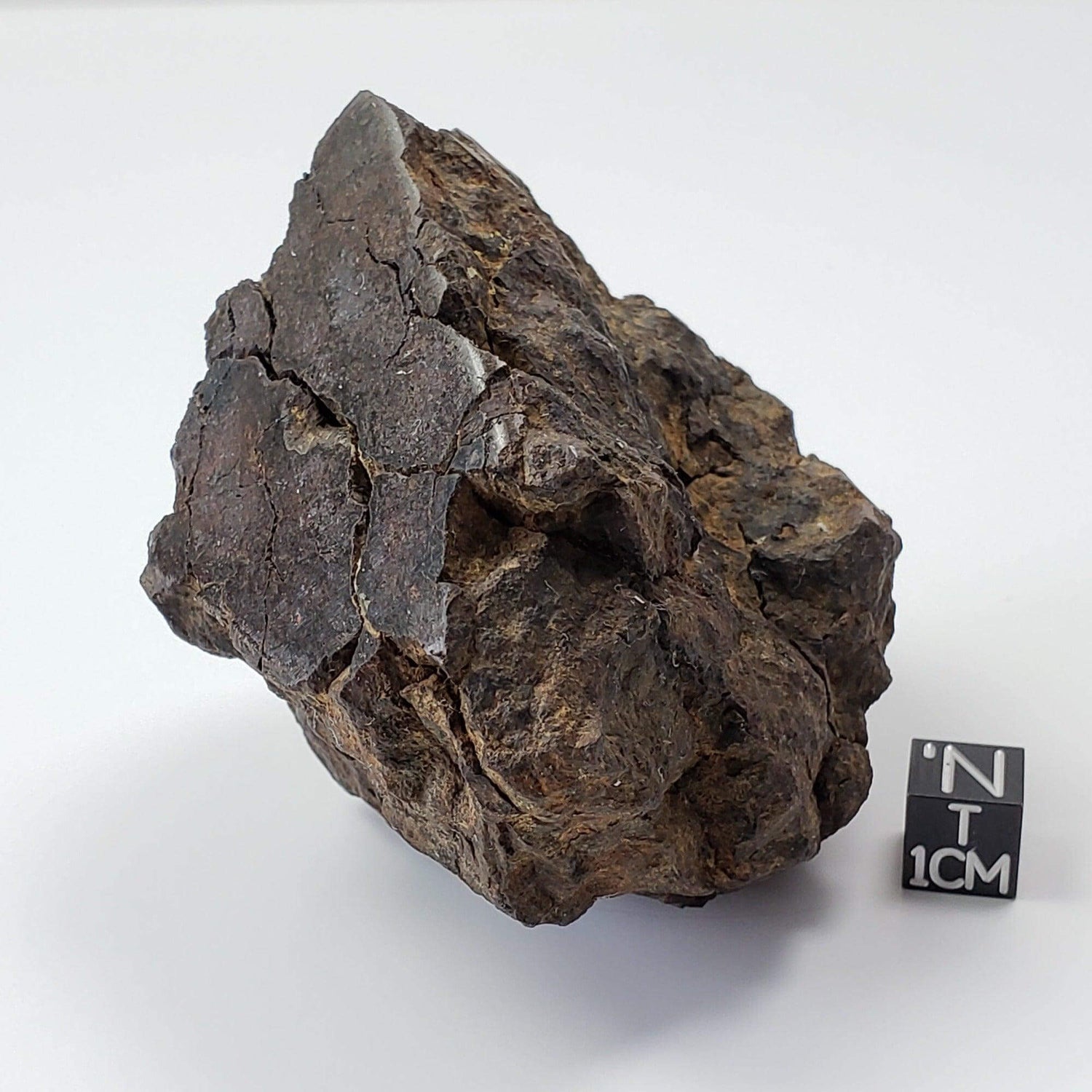 Northwest Africa NWA Meteorite | 354.5 Grams | End Cut | Sahara