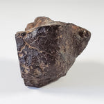 Northwest Africa NWA Meteorite | 36.71 Grams | End Cut | Sahara