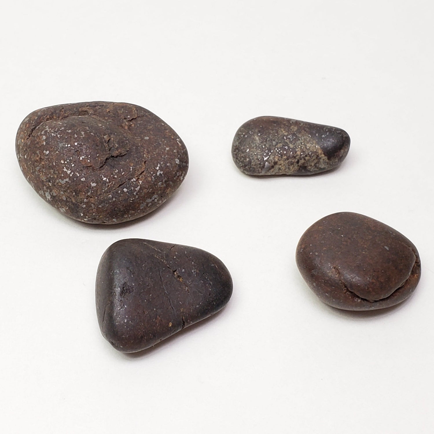 Northwest Africa NWA Meteorite 4 Piece Lot | 40 Grams | Tumbled Individuals | Sahara