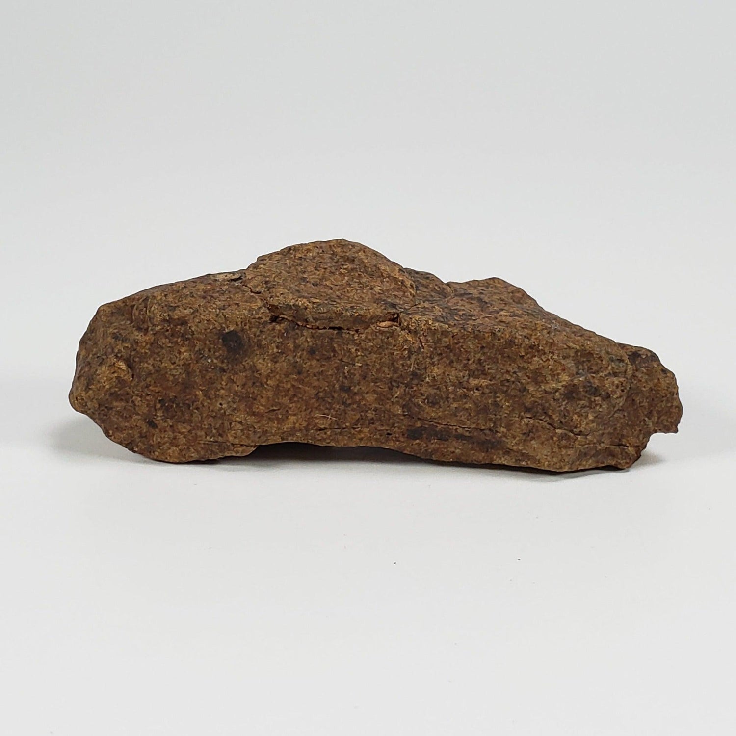 Northwest Africa NWA Meteorite | 41.6 Grams | Individual Fragment | Sahara