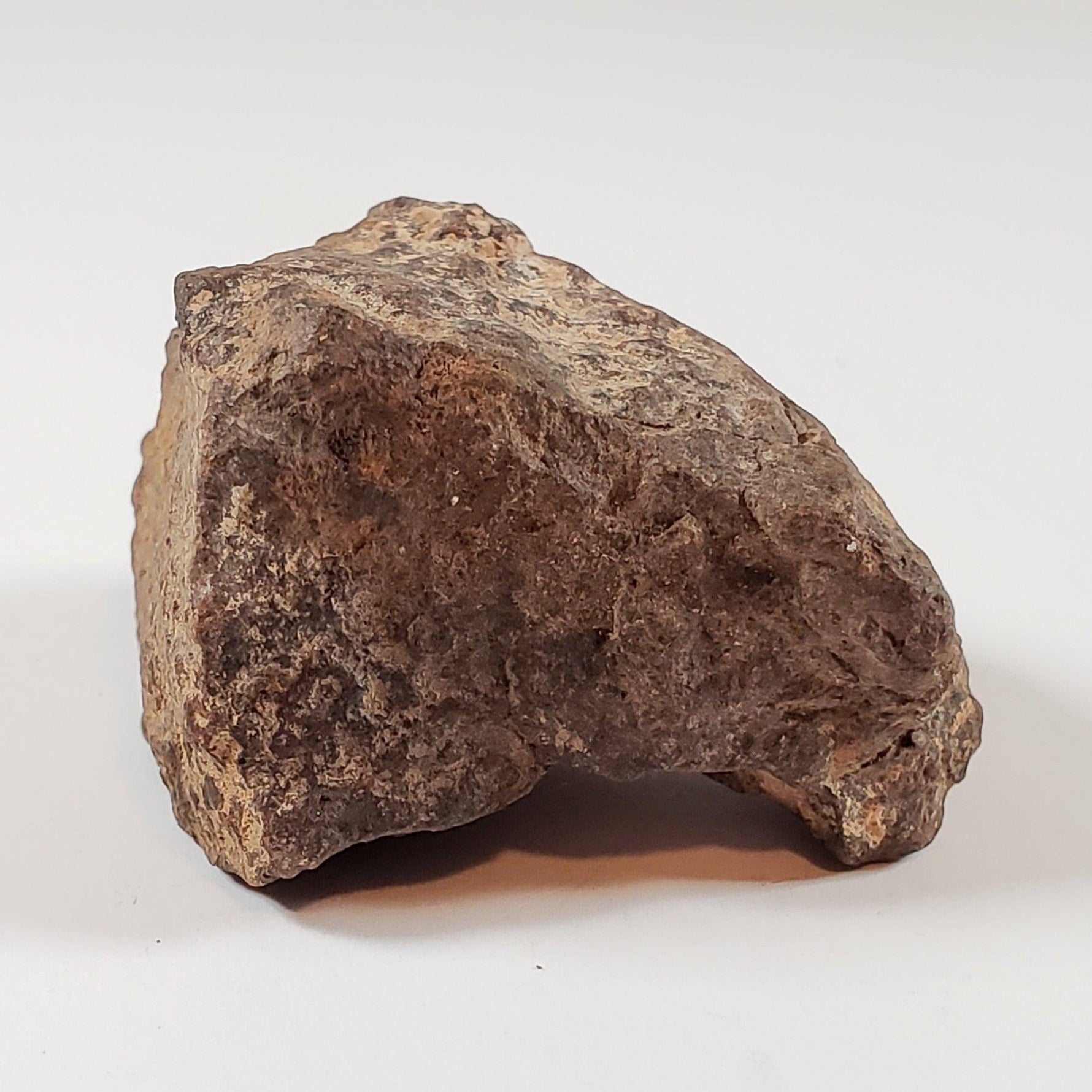 Northwest Africa NWA Meteorite | 46.03 Grams | Individual Fragment | Sahara