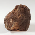 Northwest Africa NWA Meteorite | 46.03 Grams | Individual Fragment | Sahara