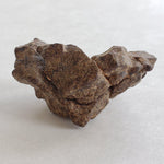 Northwest Africa NWA Meteorite | 49.04 Grams | Individual Fragment | Sahara