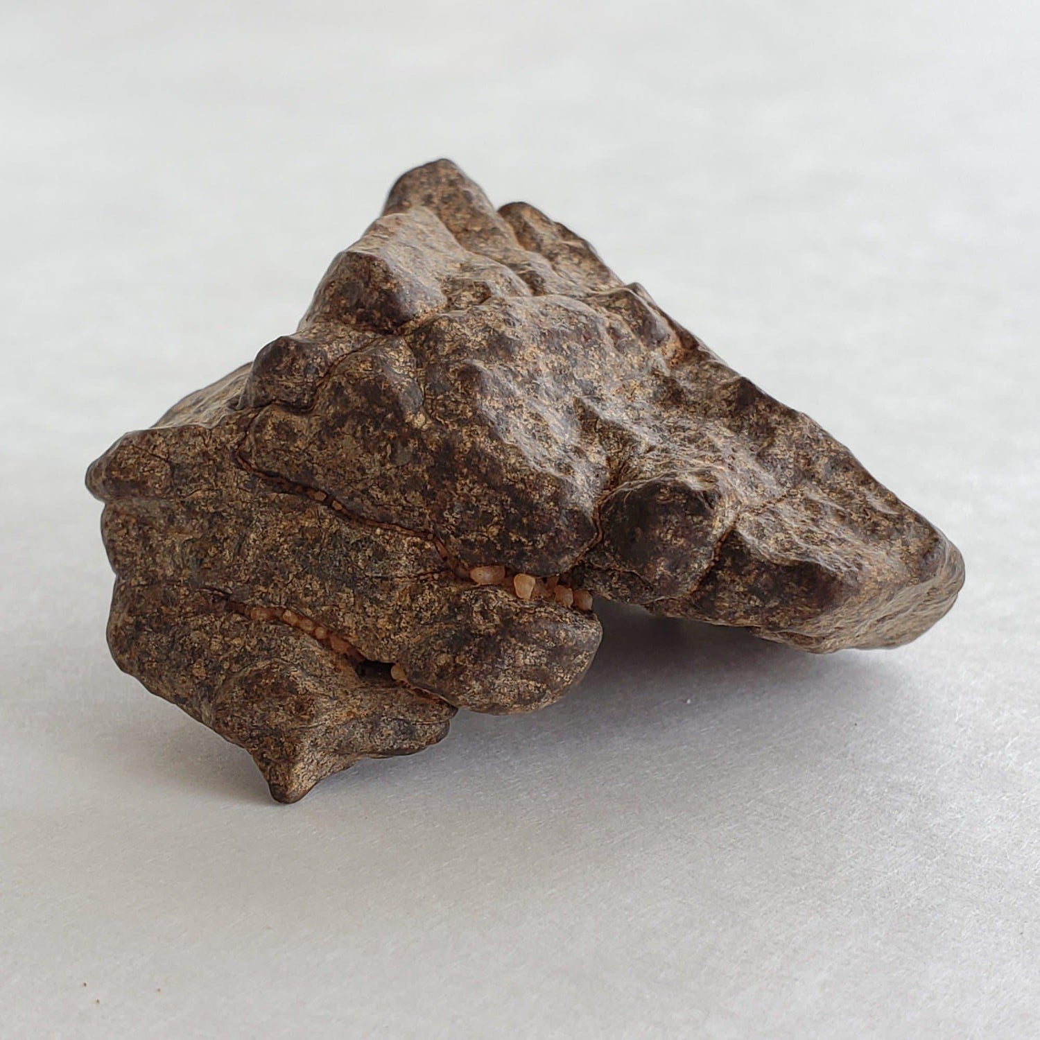 Northwest Africa NWA Meteorite | 49.04 Grams | Individual Fragment | Sahara