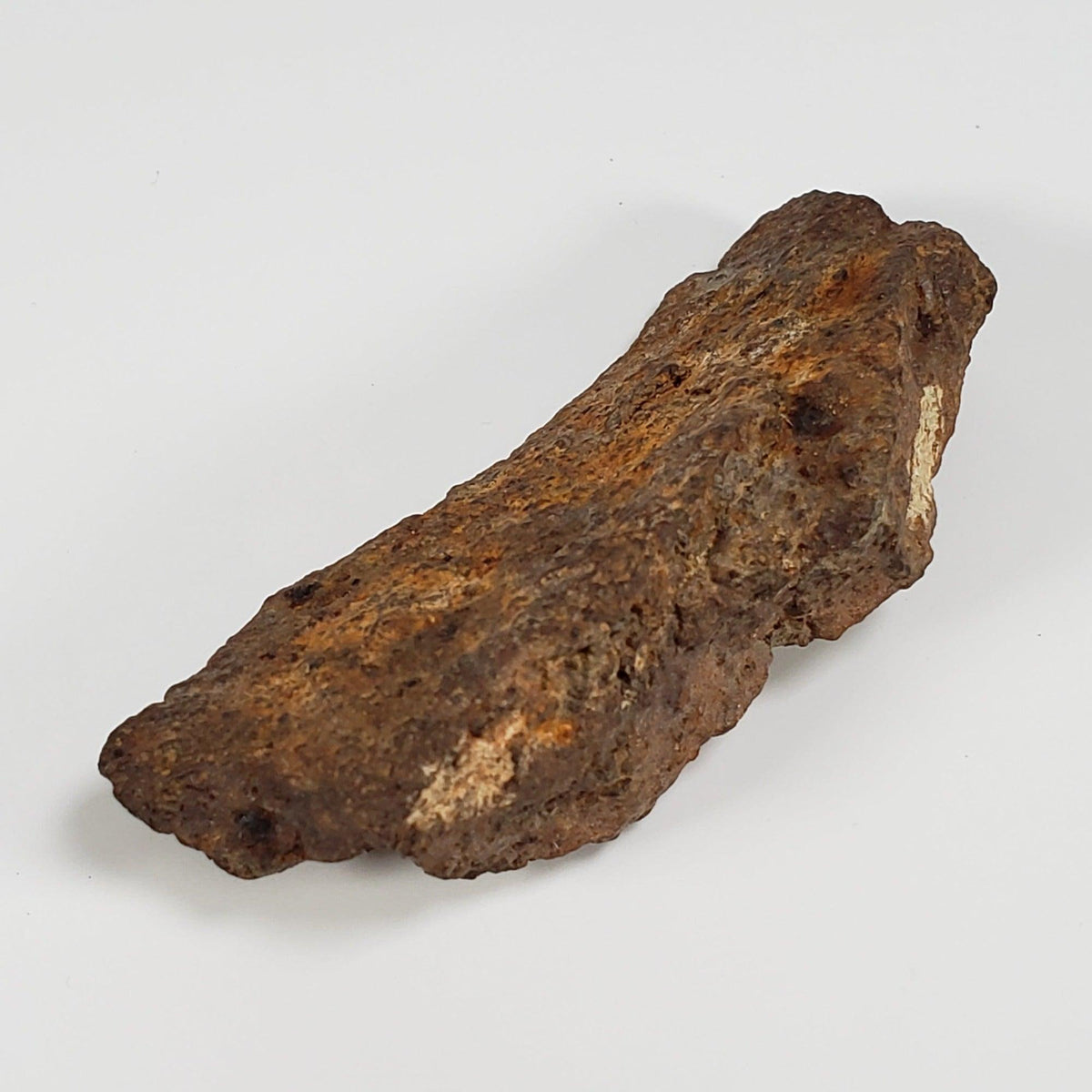 Northwest Africa NWA Meteorite | 49.4 Grams | Individual Fragment | Sahara