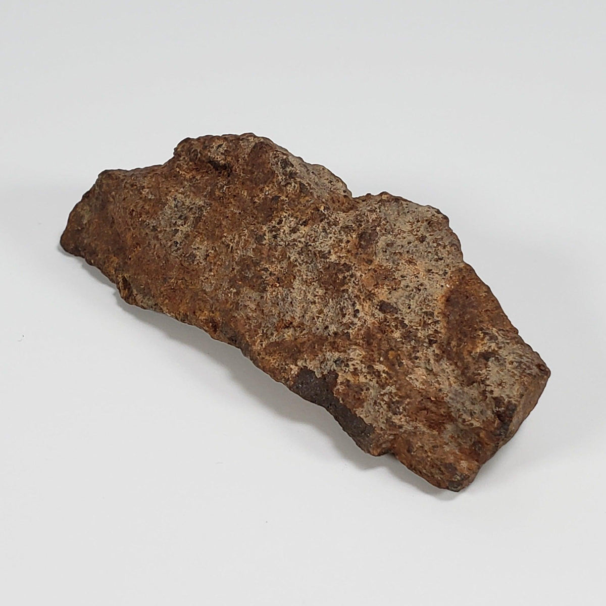 Northwest Africa NWA Meteorite | 49.4 Grams | Individual Fragment | Sahara
