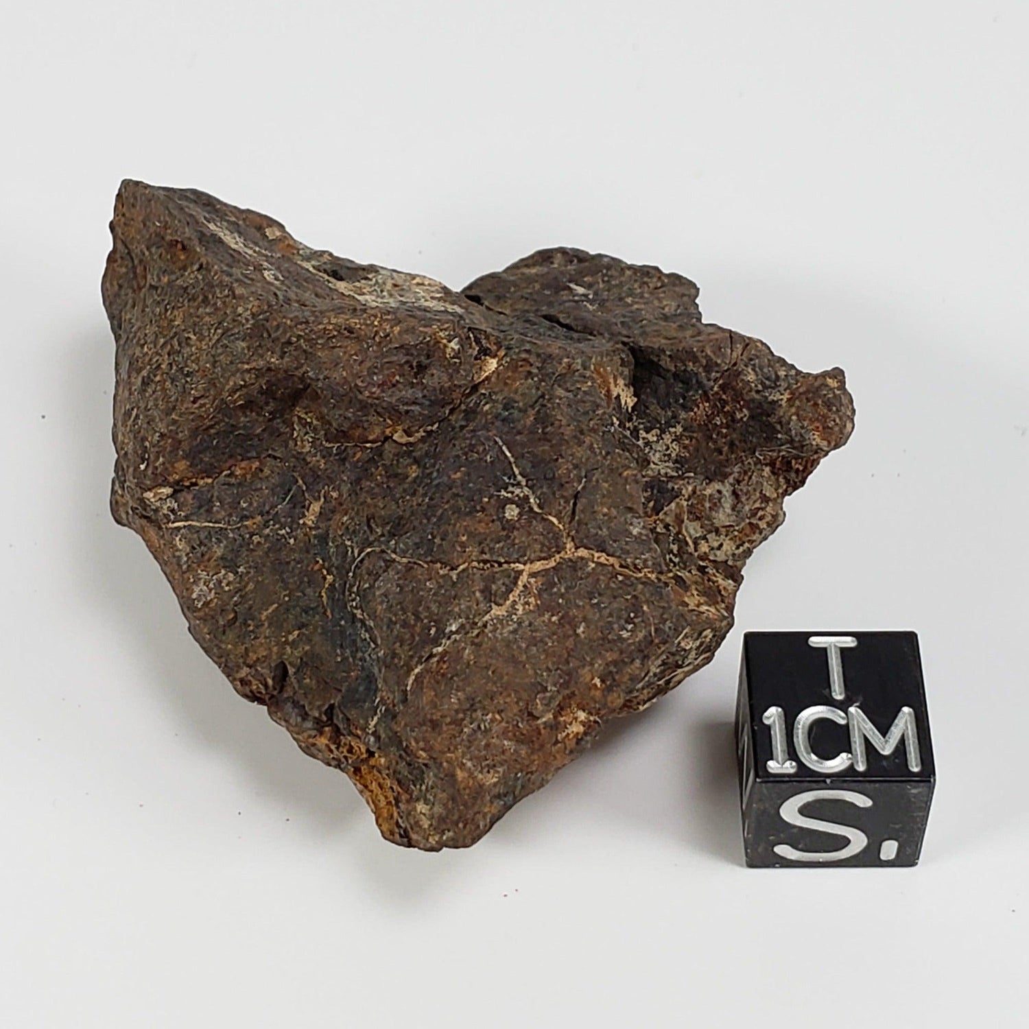 Northwest Africa NWA Meteorite | 49.5 Grams | Individual Fragment | Sahara
