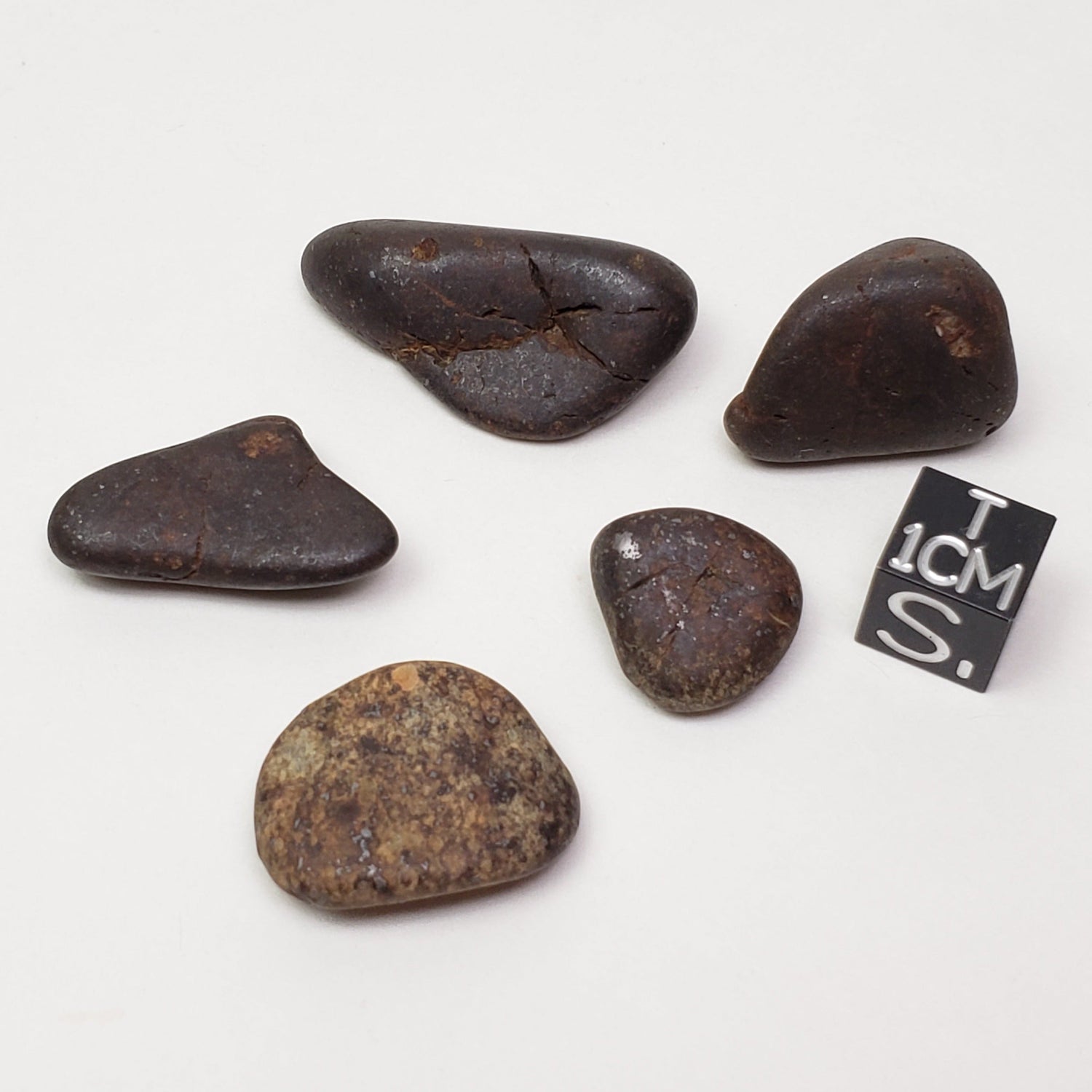 Northwest Africa NWA Meteorite 5 Piece Lot | 30 Grams | Tumbled Individuals | Sahara
