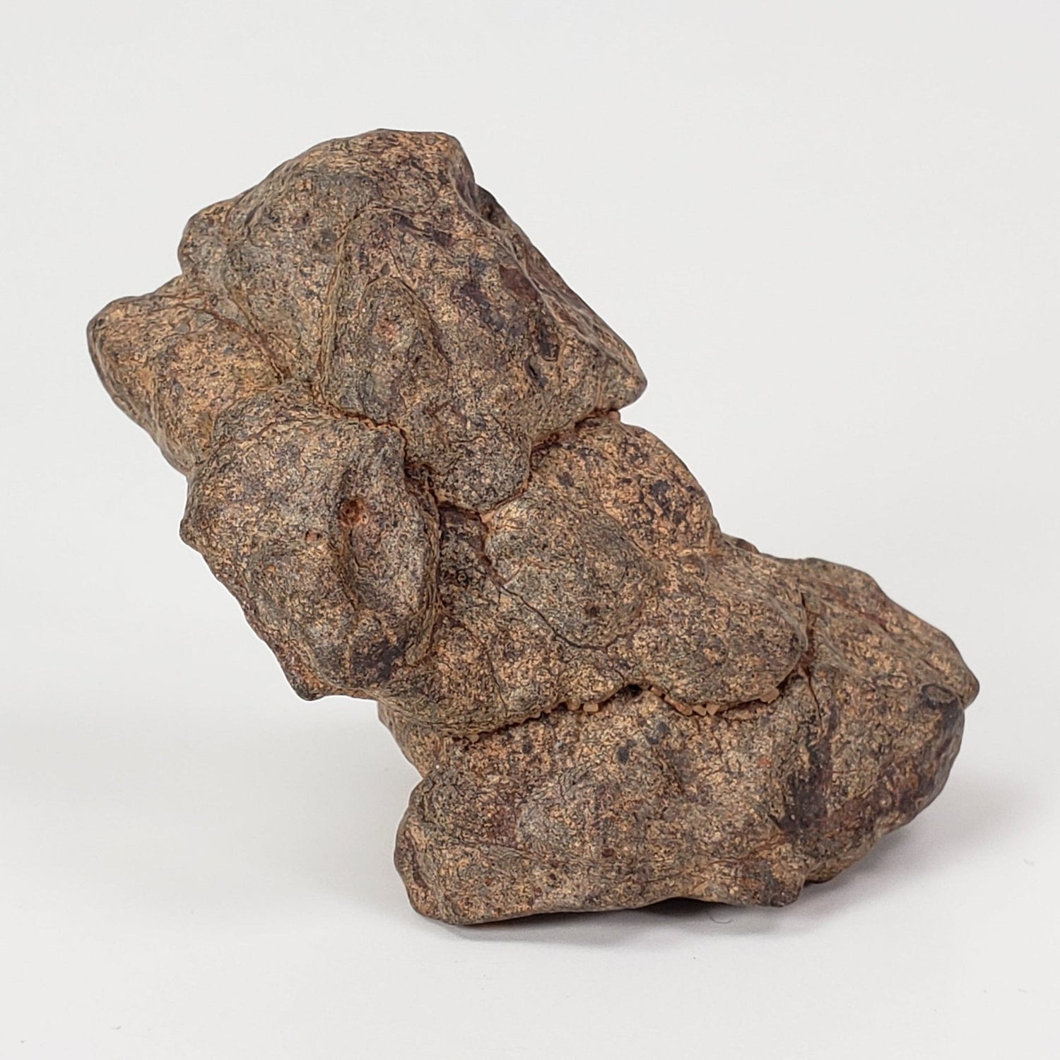 Northwest Africa NWA Meteorite | 54 Grams | Individual Fragment | Sahara