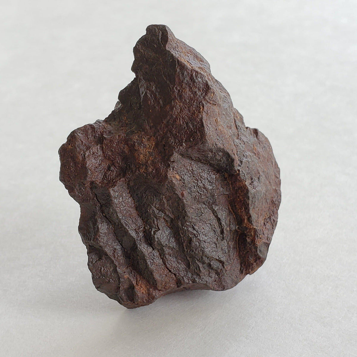 Northwest Africa NWA Meteorite | 57.83 Grams | Individual Fragment | Sahara